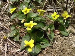 �I�I�o�L�X�~��