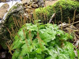 ���~�W�`���������\�E