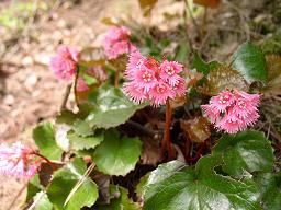 �I�I�C���J�K�~