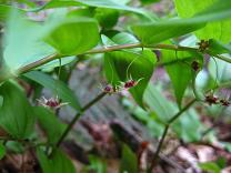 �^�P�V�}����