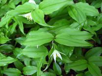 �`�S����