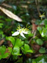 �~�c�o�I�E����