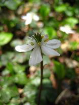 �~�c�o�m�o�C�J�I�E����