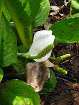 �~�Y�o�V���E